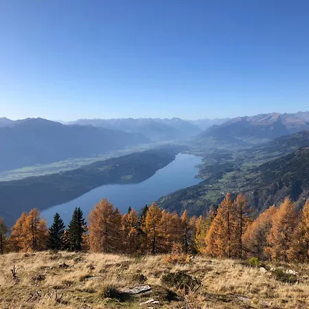 Amselnest