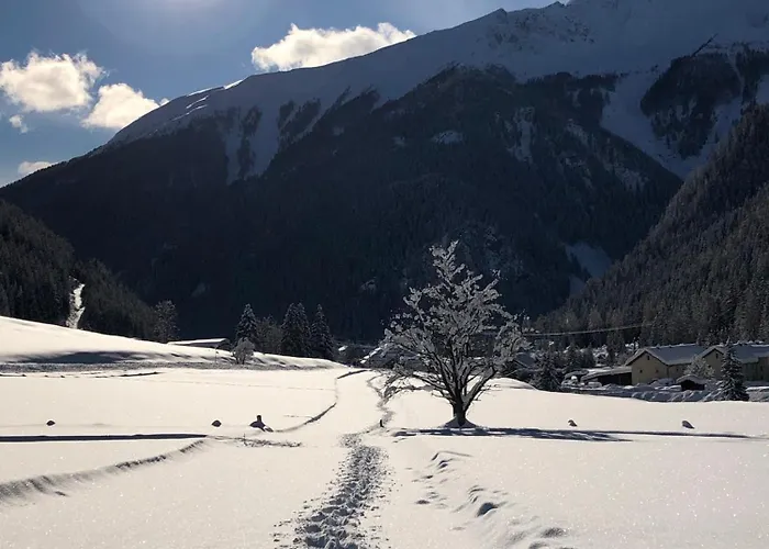 Amselnest Daire Seeboden